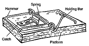 standard mousetrap